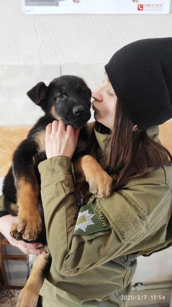 Поліцейські просять допомогти обрати імена для трьох цуциків, які стануть службовими собаками, фото №1 на сайті 20minut.ua