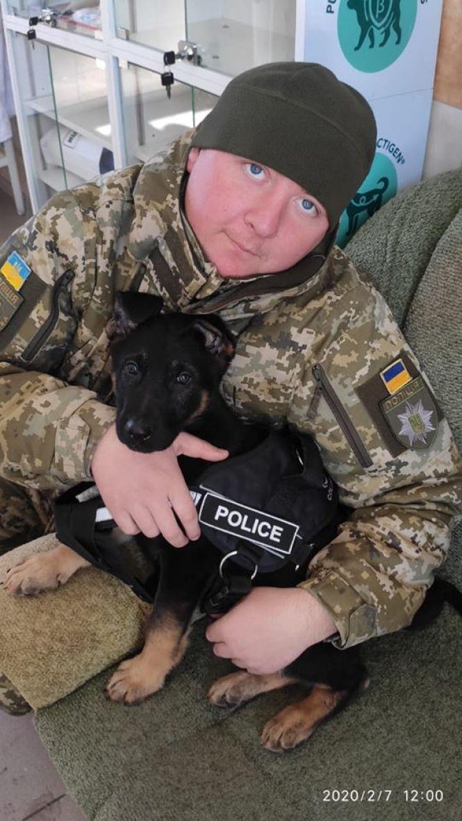 Поліцейські просять допомогти обрати імена для трьох цуциків, які стануть службовими собаками, фото №2 на сайті 20minut.ua