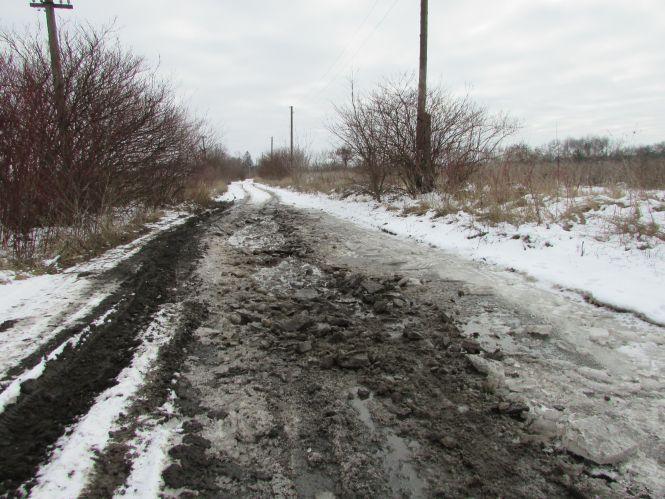 Фото дня: будні залізничників, курка-альпіністка,  болотяні вулиці, фото №1 на сайті 20minut.ua