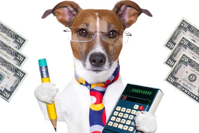 Новини Вінниці - фото з Важливе за тиждень. Найцікавіші новини від 3 до 10 лютого, які ви могли пропустити Важливе за тиждень. Найцікавіші новини від 3 до 10 лютого, які ви могли пропустити, фото №2 на сайті 20minut.ua