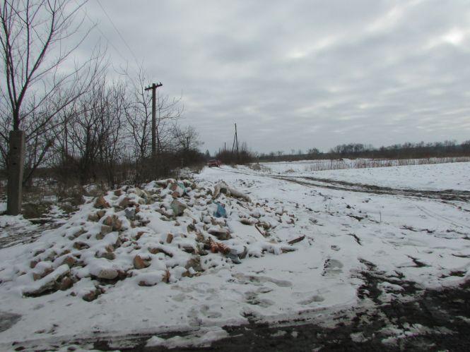 Перехожі йдуть болотом через городи, бо дорогою ходити гірше, фото №2 на сайті 20minut.ua