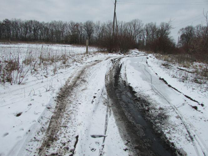 Перехожі йдуть болотом через городи, бо дорогою ходити гірше, фото №1 на сайті 20minut.ua