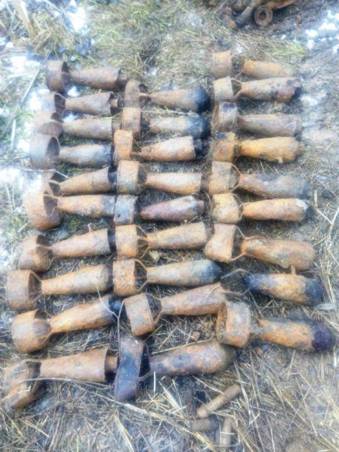 У лісі на Богунії знайшли артилерійський снаряд, фото №1 на сайті 20minut.ua