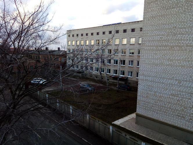 Коти на паркані, розбита клумба і парковка. Фото дня, фото №4 на сайті 20minut.ua