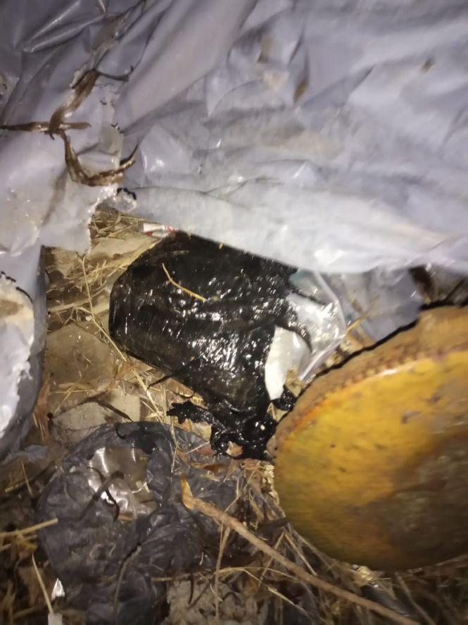 Новини Тернополя - фото з Наркотиків на мільйон: два брати з Тернополя організували продаж  Наркотиків на мільйон: два брати з Тернополя організували продаж