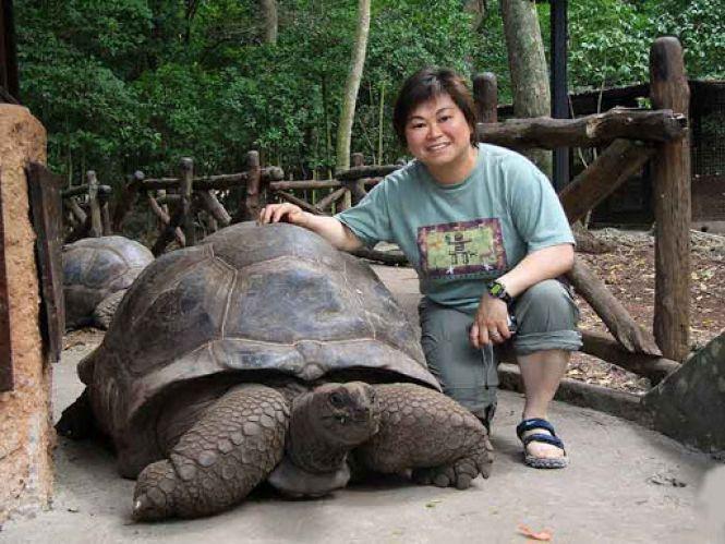 Новини Вінниці - фото з Добірка волонтерських проектів: подорожуй, покращуй світ та набирайся досвіду задарма Добірка волонтерських проектів: подорожуй, покращуй світ та набирайся досвіду задарма, фото №1 на сайті 20minut.ua