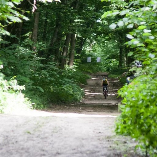 ТОП-7 місць у Тернополі, де можна вдало провести бігове тренування, фото №5 на сайті 20minut.ua