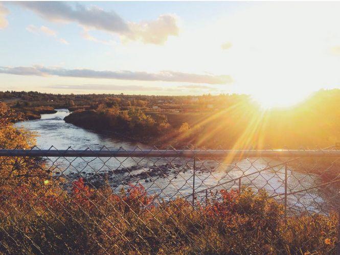 Вінниця в еміграції: Канада. «Місцеві дивуються нашим застіллям та пирогам», фото №2 на сайті 20minut.ua