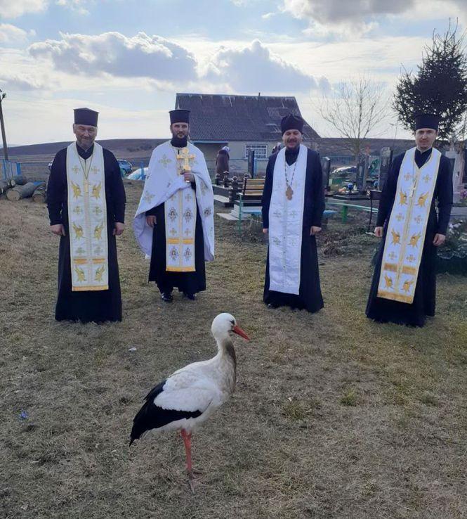 Добрий знак: під час молитви за Героїв Небесної Сотні до церкви прилетів лелека, фото №1 на сайті 20minut.ua