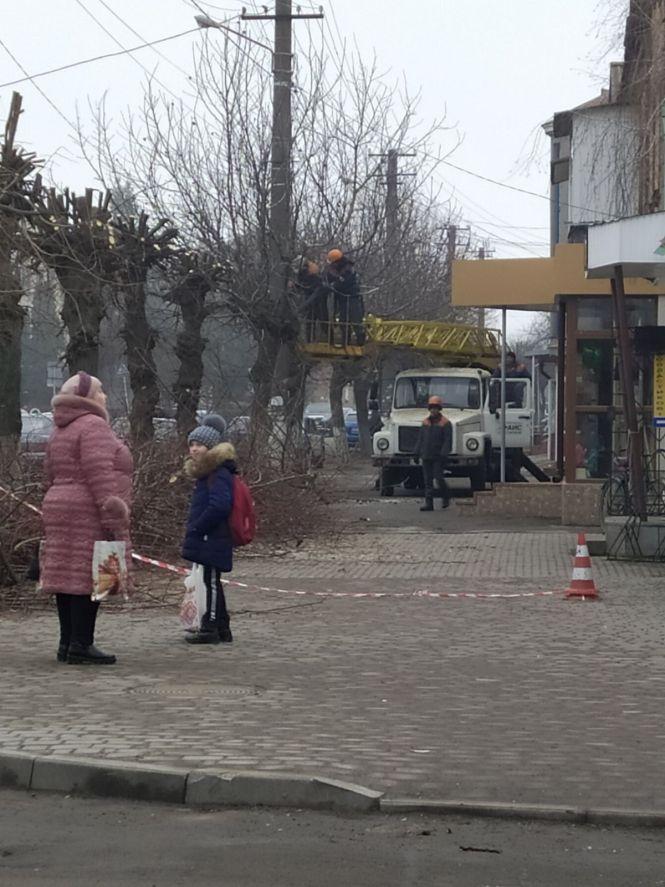 Новини Козятина - фото з Фото дня: у Козятині підчищають дерева Фото дня: у Козятині підчищають дерева, фото №2 на сайті 20minut.ua