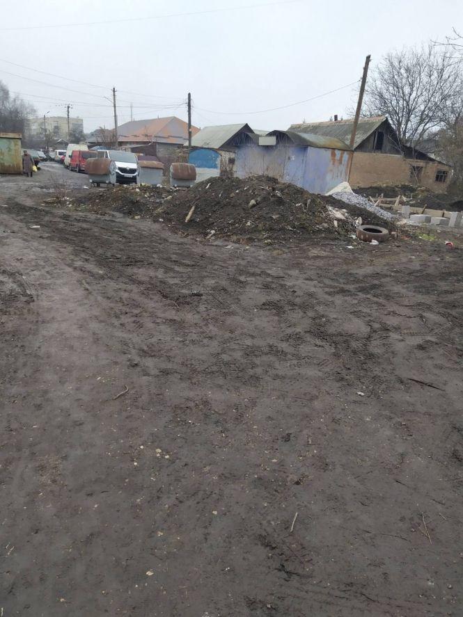 Новини Козятина - фото з Козятин сьогодні: прилетіли лебеді, бруд за ринком