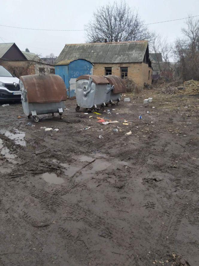 Новини Козятина - фото з Козятин сьогодні: прилетіли лебеді, бруд за ринком