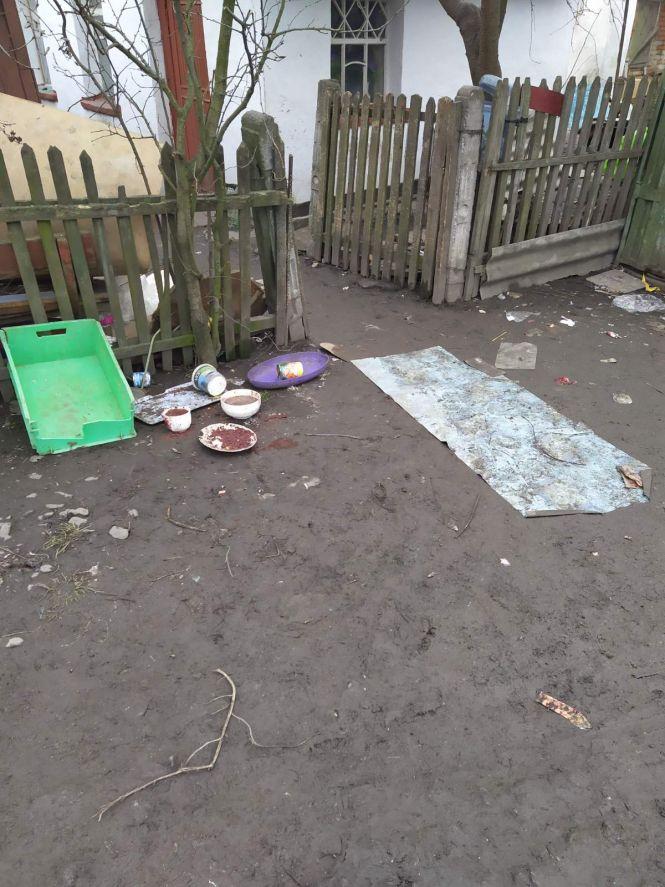 Новини Козятина - фото з Козятин сьогодні: прилетіли лебеді, бруд за ринком