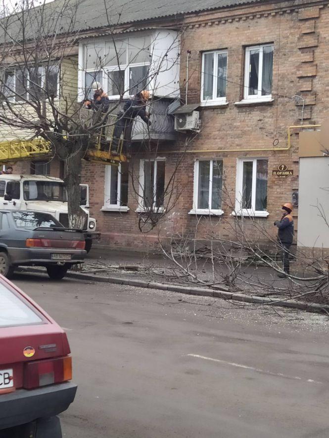 Новини Козятина - фото з Фото дня: у Козятині підчищають дерева Фото дня: у Козятині підчищають дерева, фото №1 на сайті 20minut.ua