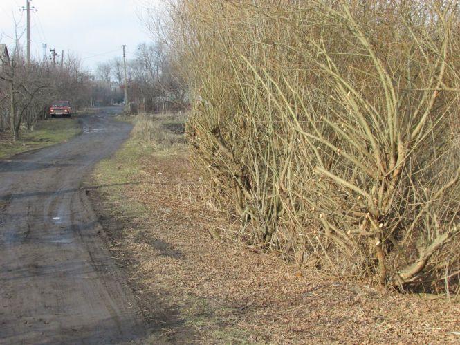 Козятин очима журналістів. Репортаж з вулиць міста, фото №3 на сайті 20minut.ua