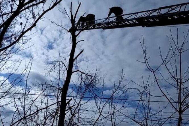 Гучне затримання, нові кадри та марш пам'яті: ТОП новини тижня у Хмельницькому, фото №3 на сайті vsim.ua