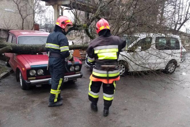 Обережно, вітер! На Хмельниччині негода влаштувала справжній деревопад (ФОТО), фото №6 на сайті vsim.ua