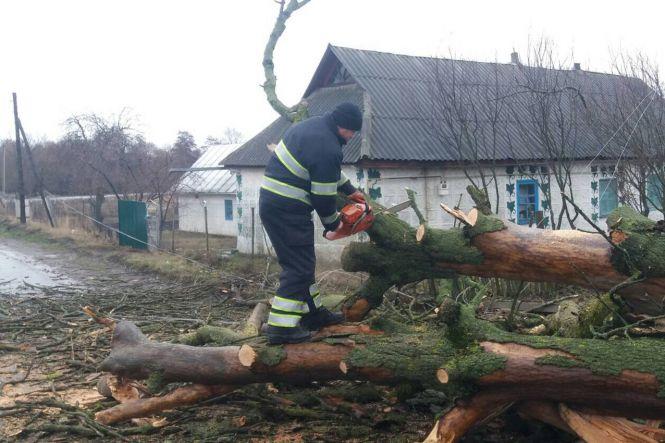 Обережно, вітер! На Хмельниччині негода влаштувала справжній деревопад (ФОТО), фото №2 на сайті vsim.ua