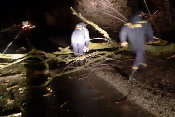 Обережно, вітер! На Хмельниччині негода влаштувала справжній деревопад (ФОТО), фото №3 на сайті vsim.ua