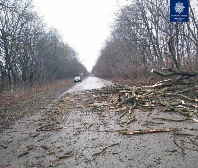 На Тернопільщині потужний буревій повалив дерева та потрощив автівки, фото №2 на сайті 20minut.ua