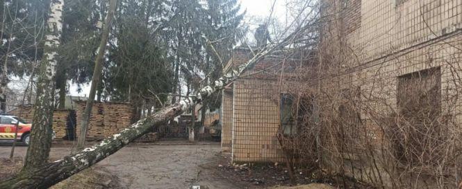 Новини Вінниці - фото з Зірвані дахи та повалені дерева. Рятувальники розповіли про наслідки негоди Зірвані дахи та повалені дерева. Рятувальники розповіли про наслідки негоди, фото №8 на сайті 20minut.ua