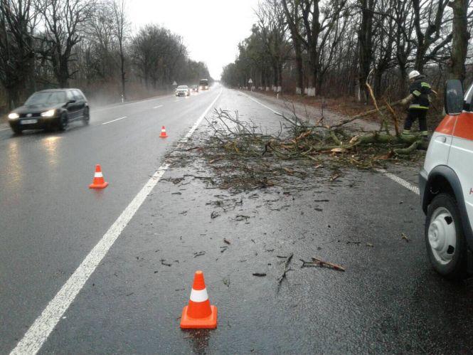 Новини Вінниці - фото з Зірвані дахи та повалені дерева. Рятувальники розповіли про наслідки негоди Зірвані дахи та повалені дерева. Рятувальники розповіли про наслідки негоди, фото №1 на сайті 20minut.ua