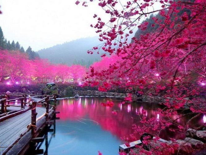 Новини Вінниці - фото з Жінка з острова у Тихому океані мріє побачити Ладижин. Історія знищення української родини Жінка з острова у Тихому океані мріє побачити Ладижин. Історія знищення української родини, фото №5 на сайті 20minut.ua