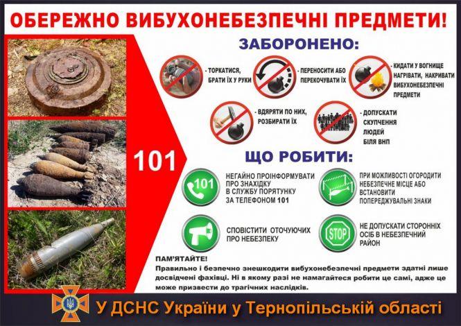 На Тернопільщині чоловік робив ремонт і побачив небезпечну знахідку (ФОТО), фото №2 на сайті 20minut.ua