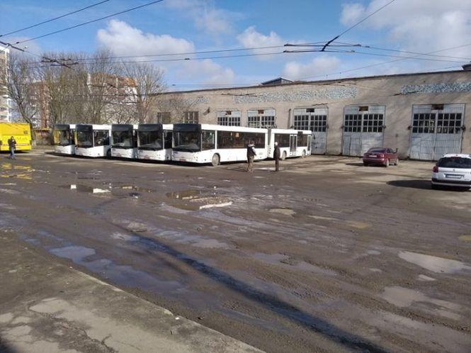 Новини Тернополя - фото з У Тернопіль прибули десять нових автобусів МАЗ, які придбали у лізинг. ВІДЕО У Тернопіль прибули десять нових автобусів МАЗ, які придбали у лізинг. ВІДЕО, фото №1 на сайті 20minut.ua