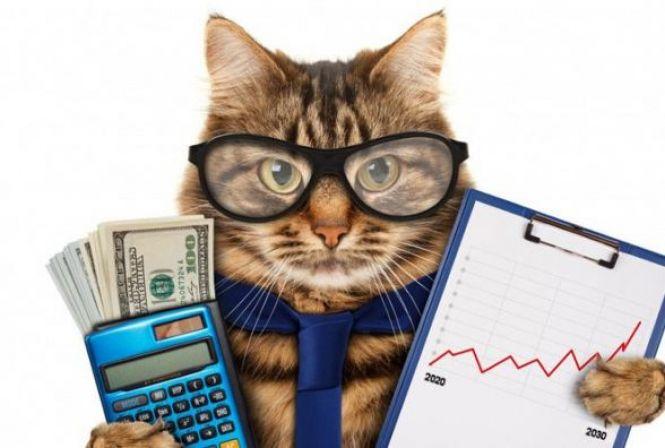 Важливе за тиждень. Новини від 24 лютого до 2 березня, які ви могли пропустити, фото №1 на сайті 20minut.ua