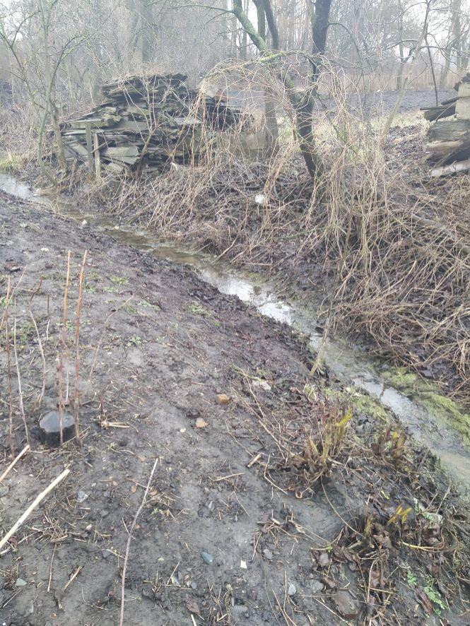 Новини Козятина - фото з Штраф та адмінвідповідальність через копанку в селі Козятин. Чому? Штраф та адмінвідповідальність через копанку в селі Козятин. Чому?, фото №1 на сайті 20minut.ua