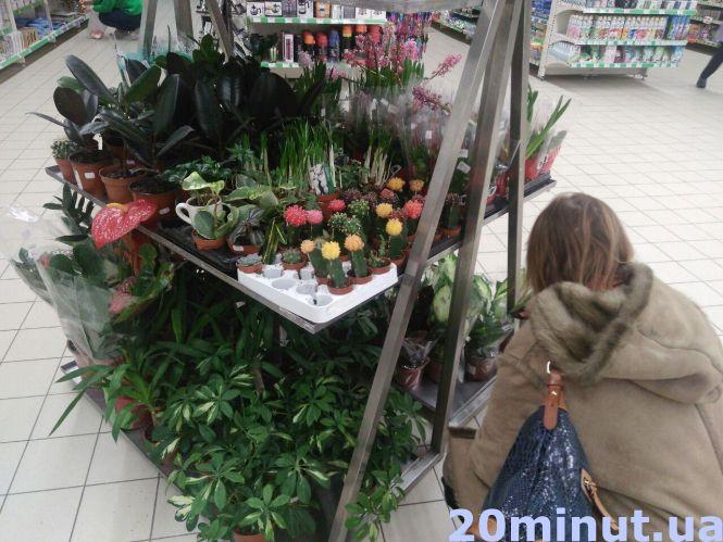 Золото, квіти чи цукерки: скільки коштують подарунки на 8 Березня, фото №2 на сайті 20minut.ua