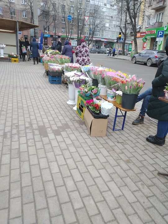 Новини Тернополя - фото з "А я за що маю чотирьох дітей годувати": чому куплені підсніжники можуть вам коштувати 1700 грн "А я за що маю чотирьох дітей годувати": чому куплені підсніжники можуть вам коштувати 1700 грн, фото №2 на сайті 20minut.ua