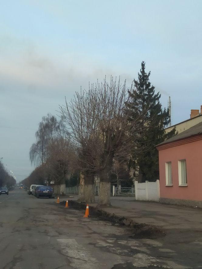 Фото дня:  в Козятині встановлюють нові бордюри, фото №1 на сайті 20minut.ua