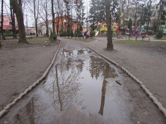 Дерева в міському парку знов хочуть пиляти, фото №1 на сайті 20minut.ua