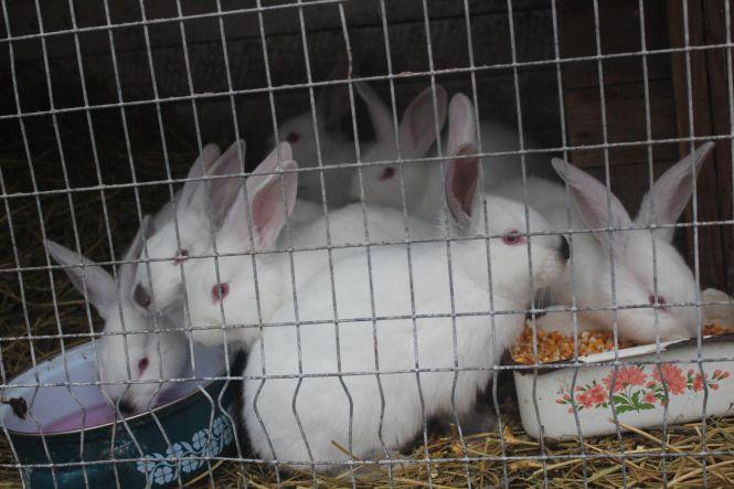 Новини Тернополя - фото з Як позбутись алко- та наркозалежності: історії людей, які "були на дні", а тепер живуть щасливо Як позбутись алко- та наркозалежності: історії людей, які "були на дні", а тепер живуть щасливо, фото №3 на сайті 20minut.ua