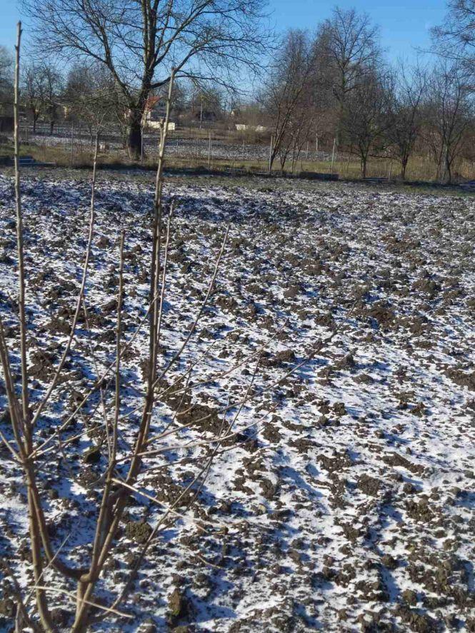 Новини Козятина - фото з Мороз та сніг: про погоду в Козятині сьогодні, 15 березня Мороз та сніг: про погоду в Козятині сьогодні, 15 березня, фото №1 на сайті 20minut.ua