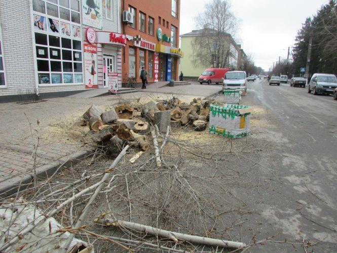 Фото дня: пиляють дерева, риють канави, фото №1 на сайті 20minut.ua