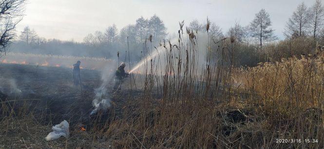 Пожежі на Козятинщині: горіла хата та суха трава, фото №3 на сайті 20minut.ua