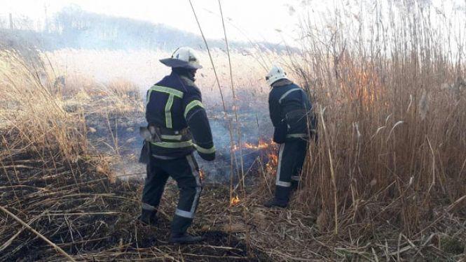 Пожежі на Козятинщині: горіла хата та суха трава, фото №4 на сайті 20minut.ua