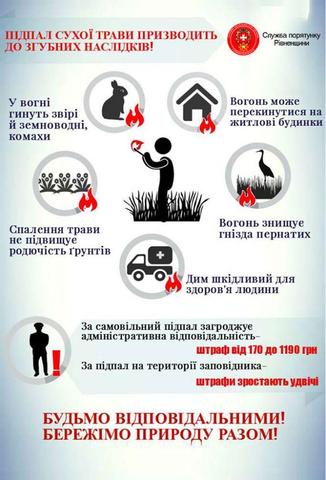 Порушення правил пожежної безпеки: козятинчани палять суху траву, фото №3 на сайті 20minut.ua