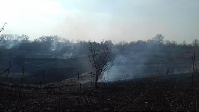 Порушення правил пожежної безпеки: козятинчани палять суху траву, фото №2 на сайті 20minut.ua