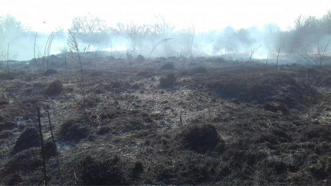 Порушення правил пожежної безпеки: козятинчани палять суху траву, фото №1 на сайті 20minut.ua