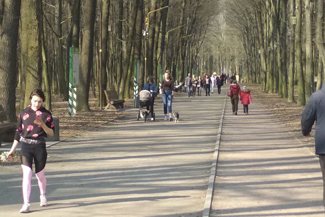 Новини Вінниці - фото з Черга за хотдогами, шашлик та застілля. Як «карантинять» на Вишенському озері та Лісопарку Черга за хотдогами, шашлик та застілля. Як «карантинять» на Вишенському озері та Лісопарку, фото №9 на сайті 20minut.ua