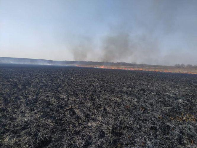 Козятинчани продовжують спалювати суху траву, фото №1 на сайті 20minut.ua