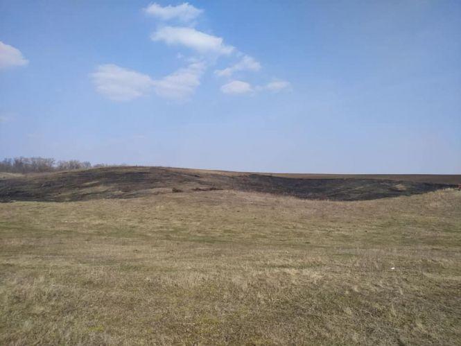 Козятинчани продовжують спалювати суху траву, фото №2 на сайті 20minut.ua