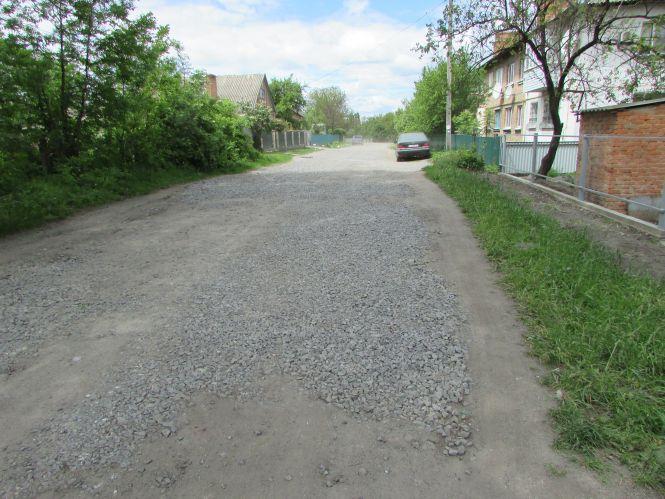 Новини Козятина - фото з Фото дня: виноградар Біляш, плакучі липи та аварійний дах