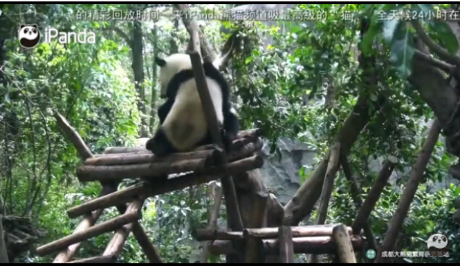 Новини Тернополя - фото з Карантин з користю: чим зайняти дітей вдома Карантин з користю: чим зайняти дітей вдома, фото №1 на сайті 20minut.ua