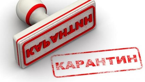 З понеділка обмеження посилюють: контролюватимуть пересування вінничан та можуть залучати авто, фото №2 на сайті 20minut.ua