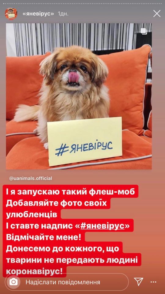 Новини Хмельницького - фото з #ЯнеВірус: хмельничани запустили флешмоб задля порятунку тварин #ЯнеВірус: хмельничани запустили флешмоб задля порятунку тварин, фото №3 на сайті vsim.ua